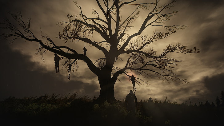 bare tree, night, tree, The Witcher, gallows, The Witcher 3:Wild Hunt, HD wallpaper