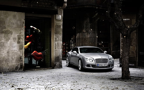 Bentley Continental GT 2011, szare coupe, Bentley Continental GT, Tapety HD HD wallpaper