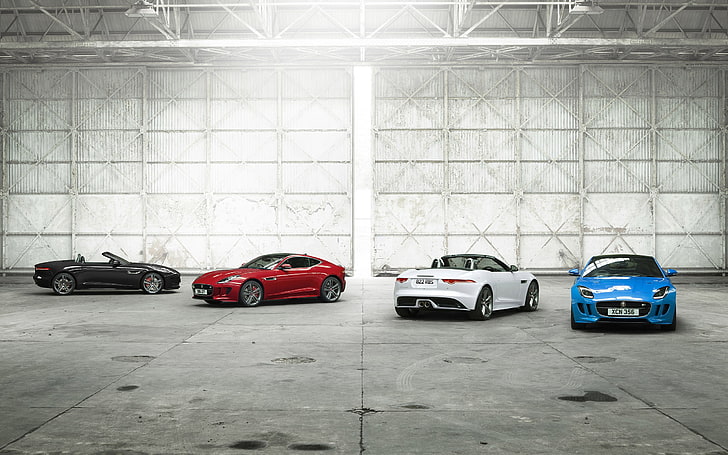 Jaguar F-Type, автомобиль, HD обои