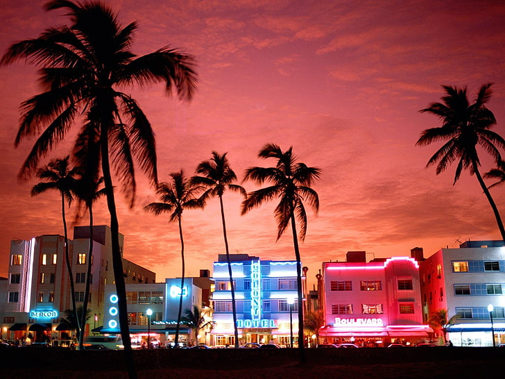 Маями, улица, неонови светлини, палми, градско, лилаво небе, HD тапет