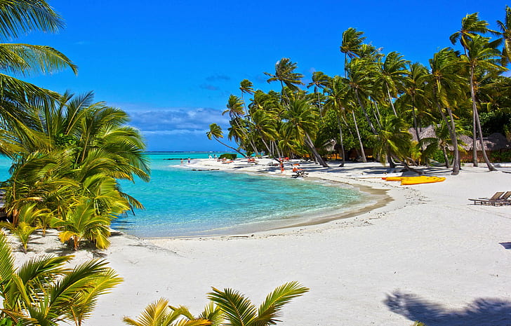 Pearl Beach Tuamotus Atoll Franska Polynesien, ö, Stillahavsområdet, söder, becah, pärlstrand, lagun, blå, polynesien, atoll, exotisk, vit, vacker, HD tapet