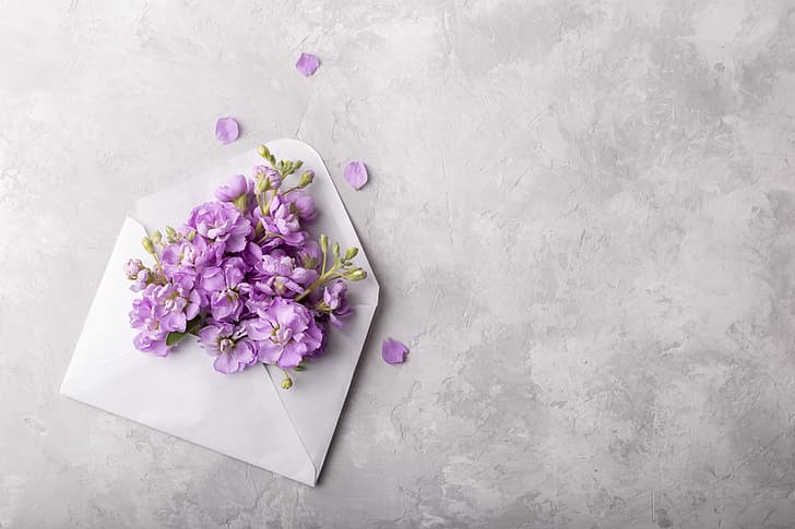 flowers, the envelope, spring, violet, HD wallpaper