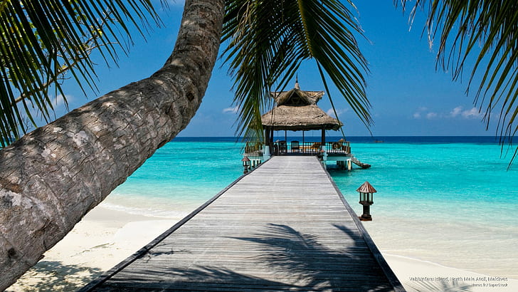 جزيرة فابينفارو ، مالي أتول الشمالية ، جزر المالديف، خلفية HD