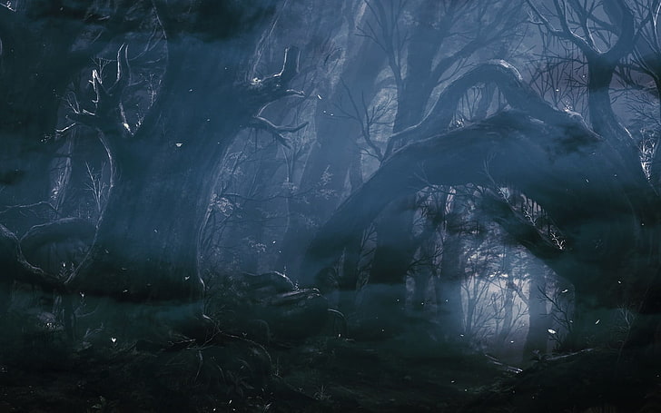 숲, 판타지 아트, 숲, 어둠의 그림, HD 배경 화면