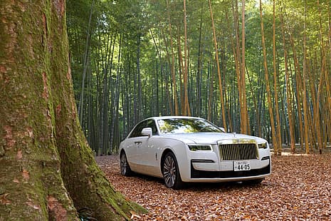 лес, белый, природа, Rolls-Royce, Rolls-Royce Ghost, HD обои HD wallpaper