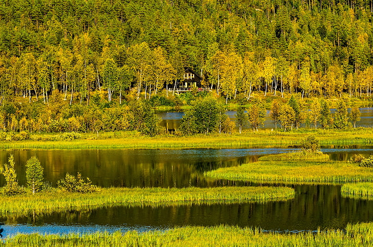 green trees, autumn, forest, grass, trees, mountains, lake, house, hills, Norway, HD wallpaper