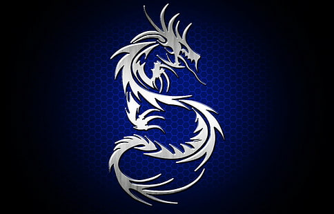 синьо, дракон, сребро, племе, HD тапет HD wallpaper