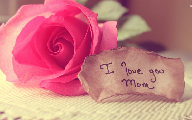 Mom I Love You HD wallpapers free download | Wallpaperbetter