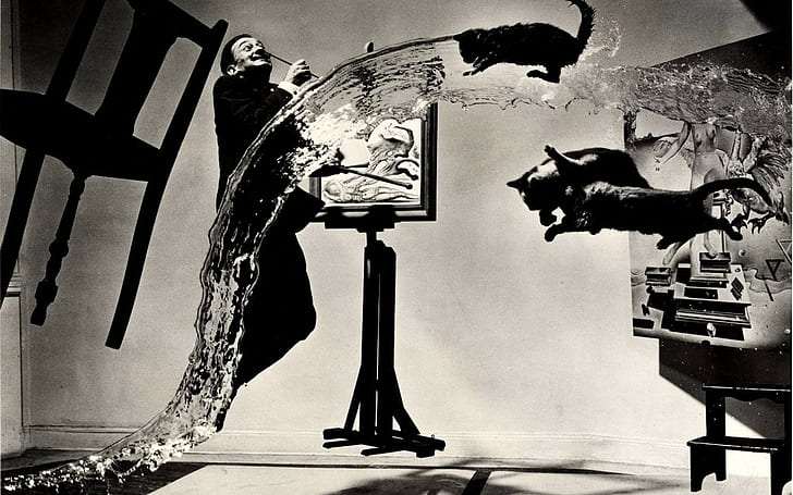 Salvador Dalí, painters, water, cat, floating, chair, monochrome, HD wallpaper