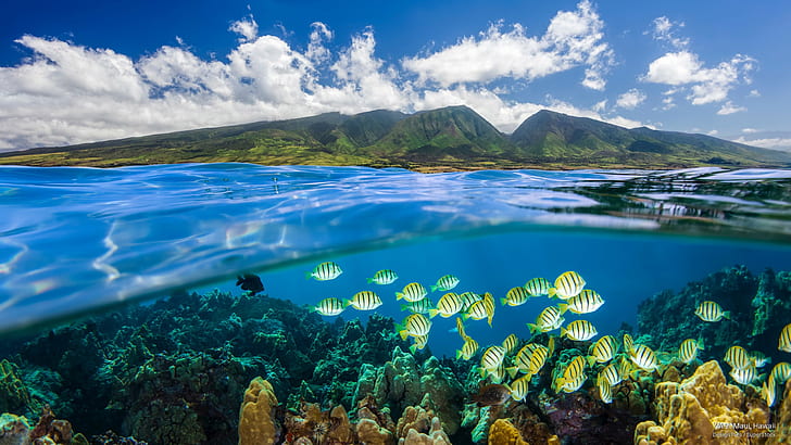 ماوي الغربية ، هاواي ، جزر، خلفية HD