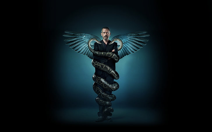 House, M.D., snake, wings, Hugh Laurie, HD wallpaper