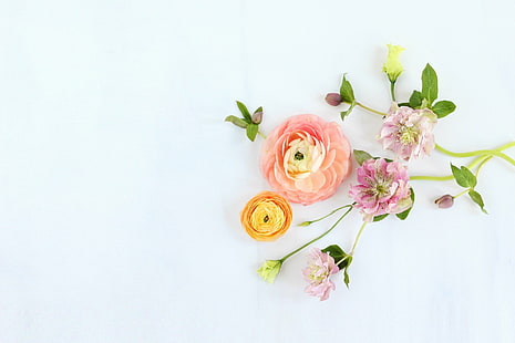 Flores, Flor, Artística, Pastel, Rosa, Roxo, Primavera, HD papel de parede HD wallpaper