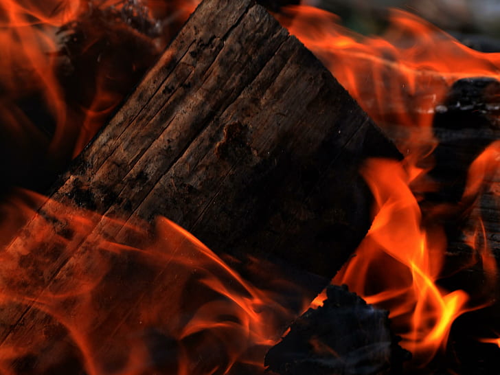 Accampamento vicino, tronchi, fuoco, caldo, arancia, legno, 3d e astratto, Sfondo HD