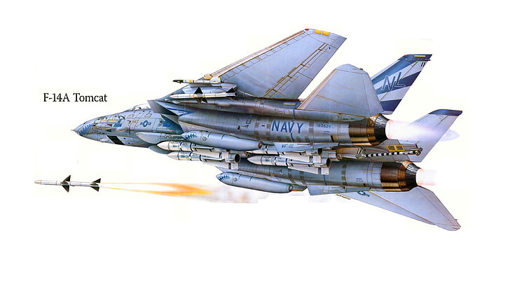 the plane, attack, figure, fighter, USA, Tomcat, F-14, HD wallpaper