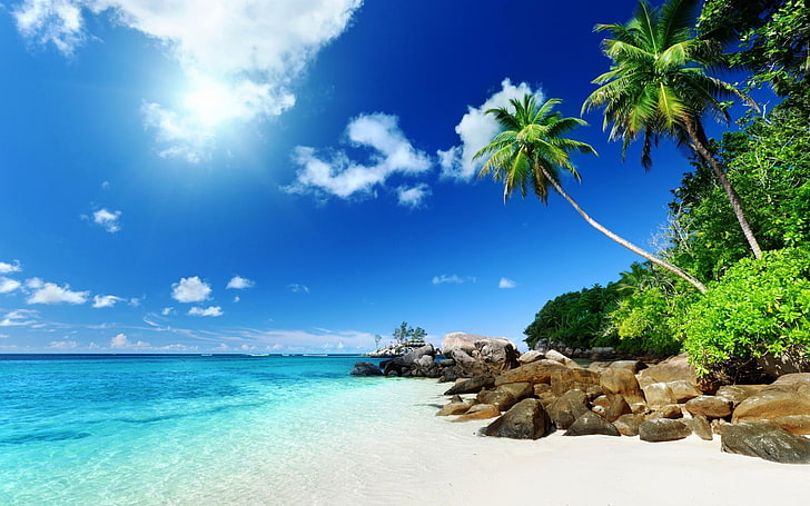 plage de sable blanc au bord de la mer, nature, tropicale, île, nuages, palmiers, mer, pierres, Fond d'écran HD