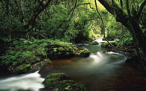 طبيعة كوستاريكا أنهار 1920x1200 Nature Rivers HD Art، nature، costa rica، خلفية HD HD wallpaper