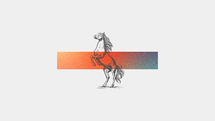 abstract, simple background, minimalism, horseback, HD wallpaper