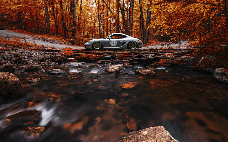 gray sports coupe, nature, car, trees, forest, fall, vehicle, leaves, long exposure, stream, stones, road, rock, Porsche Cayman, sports car, side view, Porsche, HD wallpaper