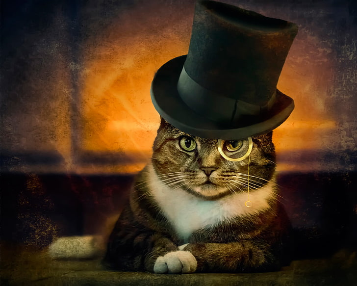 gato atigrado marrón y sombrero negro, gato, cilindro, monóculo, Fondo de pantalla HD