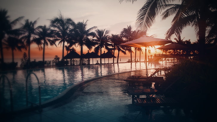 sombrilla gris, naturaleza, piscina, puesta de sol, palmeras, luz solar, Fondo de pantalla HD