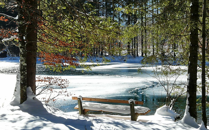 bench, coast, ice, lake, snow, spring, thawing, trees, HD wallpaper