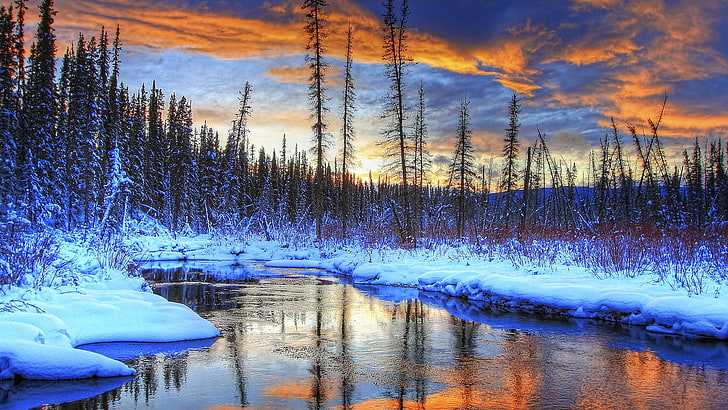 заснеженная земля с голыми деревьями цифровые обои, зима, лес, небо, облака, снег, деревья, пейзаж, закат, горы, река, ручей, HD обои