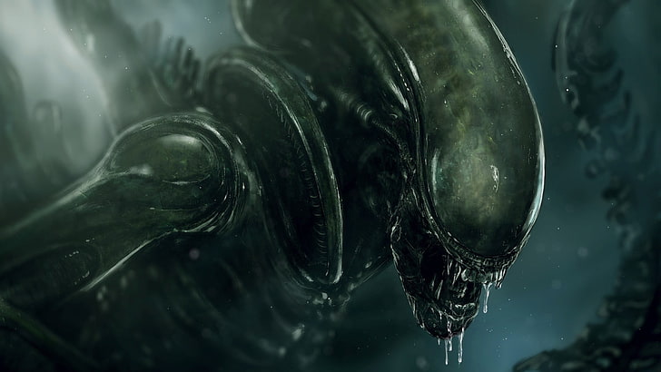 Sfondo digitale Alien vs Predator, Alien (film), Xenomorph, Sfondo HD