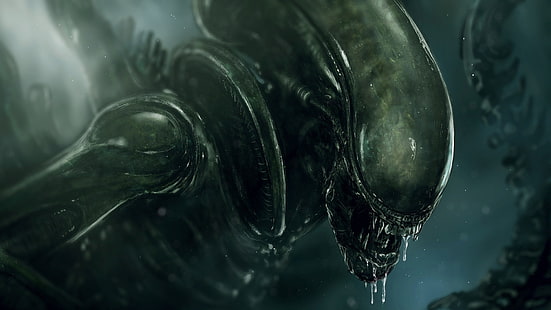 Alien vs Predator digital wallpaper, Alien (movie), Xenomorph, HD wallpaper HD wallpaper