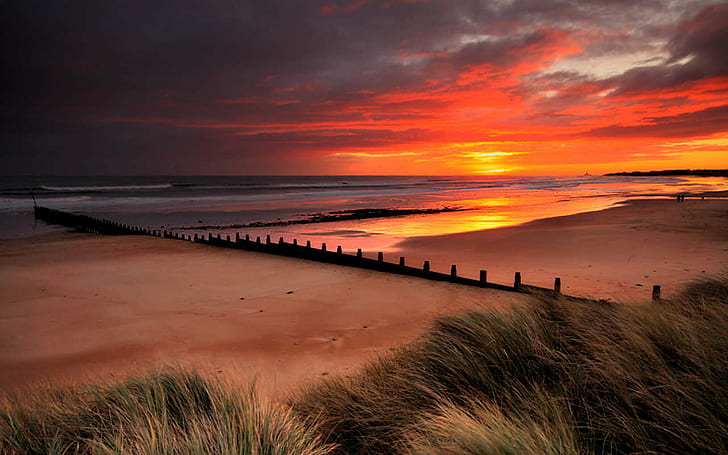 Sunset on the beach, sunset, beach, HD wallpaper