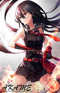 Акаме обои, Akame ga Kill !, аниме, аниме девушки, меч, оружие, Акаме, катана, HD обои HD wallpaper