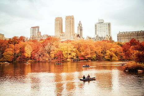 осень, центральный, город, манхэттен, нью-йорк, парк, сша, йорк, HD обои HD wallpaper