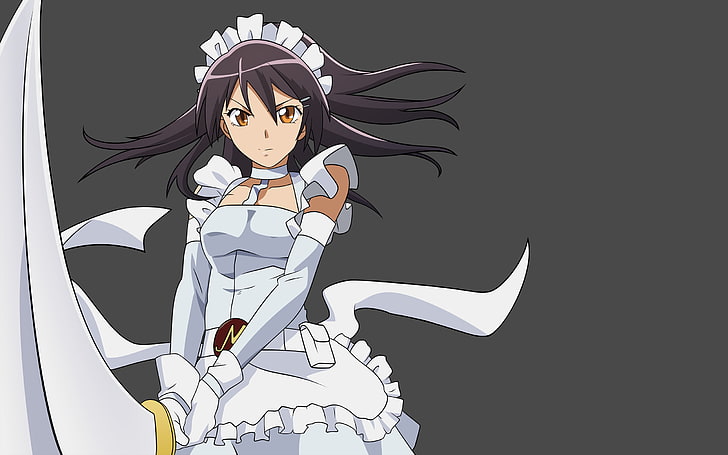 anime anime girls kaichou wa maid sama ayuzawa misaki maid, Sfondo HD