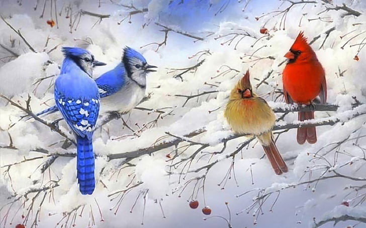 Птици, птица, синя сойка, клон, кардинал, сняг, дърво, зима, HD тапет