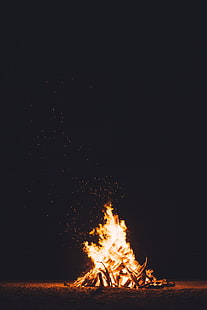 bonfire, nature, fire, HD wallpaper HD wallpaper