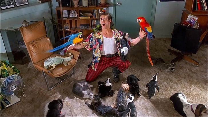 Movie, Ace Ventura: Pet Detective, HD wallpaper