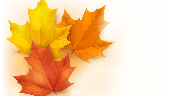 Яркие кленовые листья, три оранжево-красные и желтые листья, оранжевый, клен, пузыри, осень, листья, яркие, золото, боке, осень, простые, природа и пейзажи, HD обои HD wallpaper