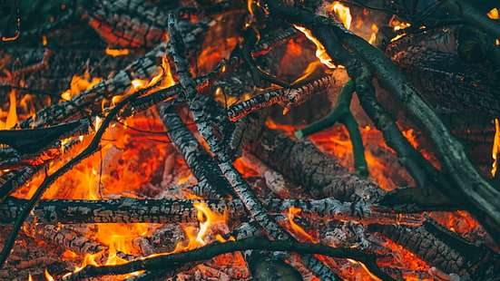 Lagerfeuer, Feuer, Kamin, Zweige, HD-Hintergrundbild HD wallpaper