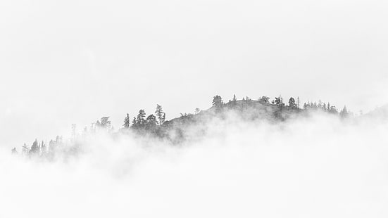 forest mountain surrounded by sea cloud, Mind, Island, forest mountain, sea cloud, black and white, Landscape, nature, clouds, cloudy, trees, minimalism, minimal, Pacific Northwest, Canon EOS 5D Mark III, Canon EF, 6L, westrock, monochrome, washington, tree, fog, forest, mountain, mist, outdoors, HD wallpaper HD wallpaper