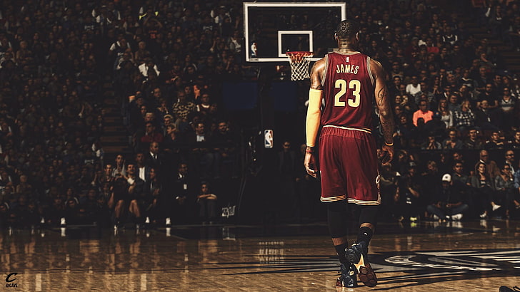 LeBron James, bola basket, NBA, lingkaran, Wallpaper HD