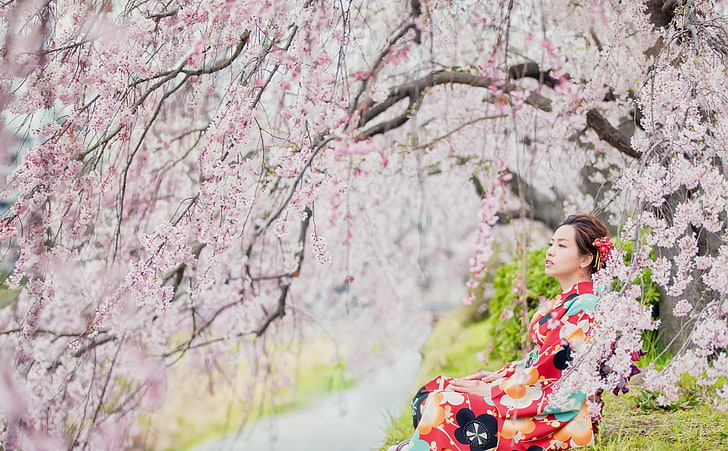 Gadis Sakura Red Kimono, gaun beraneka warna wanita, Gadis, Musim Semi, Bunga, Asia, Tenang, Bunga, sakura, Kimono, Wallpaper HD