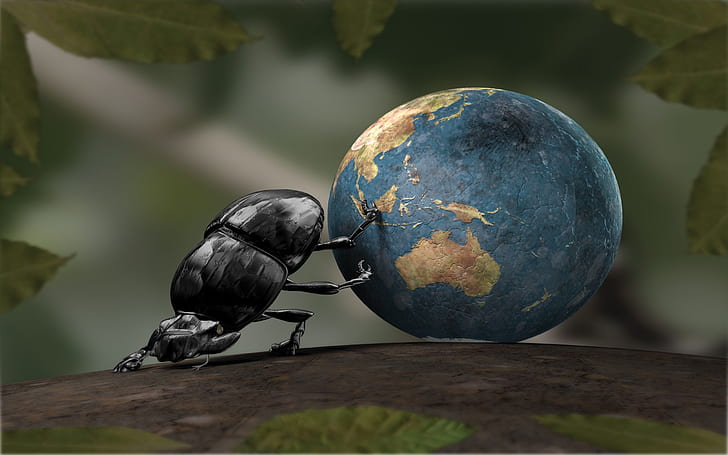 Beetle porusza ziemię, kreatywne zdjęcia, Beetle, Move, Earth, Creative, Pictures, Tapety HD