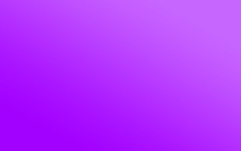 lilac, light, background, solid, bright, HD wallpaper HD wallpaper