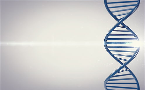 синя илюстрация на ДНК, ДНК, визуализация, HD тапет HD wallpaper