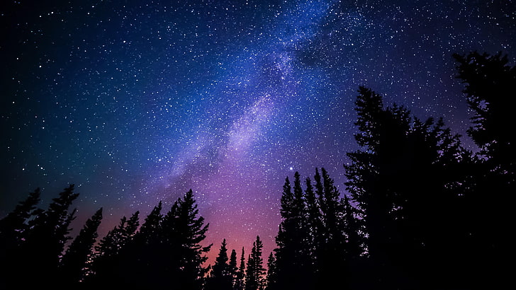 небе, природа, атмосфера, нощ, тъмнина, земна атмосфера, явление, астрономически обект, дърво, галактика, звезда, астрономия, космос, вселена, млечен път, борови дървета, HD тапет