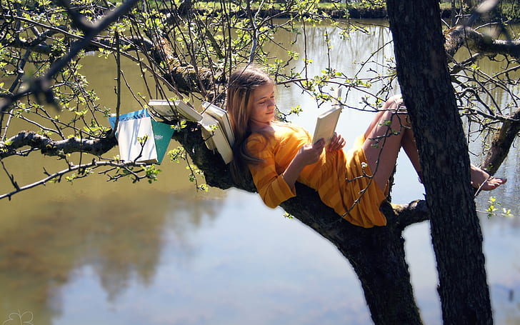 Девушка на дереве, читаю книги, Девушка, Дерево, читаю, Книги, HD обои