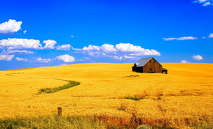 brown wooden hose, wheat, field, the sky, clouds, landscape, house, HD wallpaper