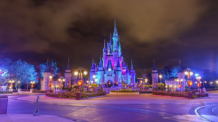 Cinderella Castle, Castle, Magic Kingdom, Orlando, Florida, USA, Magic Kingdom Park, Disneyland, Disney World, Walt Disney World, Partners Staty, Night, Dusk, HD tapet