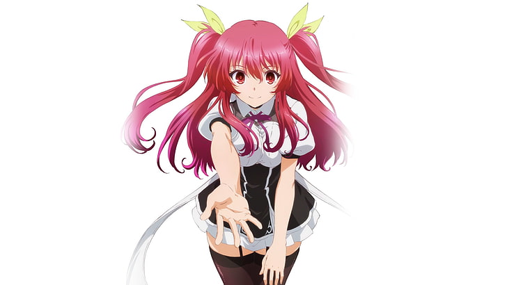 аниме, аниме девушки, Rakudai Kishi No Cavalry, Stella Vermillion, простой фон, длинные волосы, розовые волосы, смотрит на зрителя, белый фон, HD обои