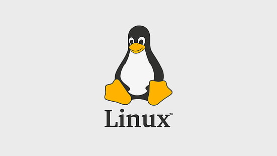 Tux, Linux, Minimalismus, FoxyRiot, HD-Hintergrundbild HD wallpaper