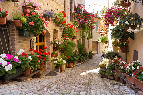 разноцветна цветна партида, цветя, градът, Гърция, HD тапет HD wallpaper